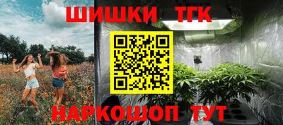 винт Новозыбков