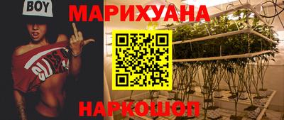 винт Новозыбков